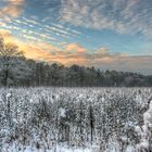 Winterlandschaft