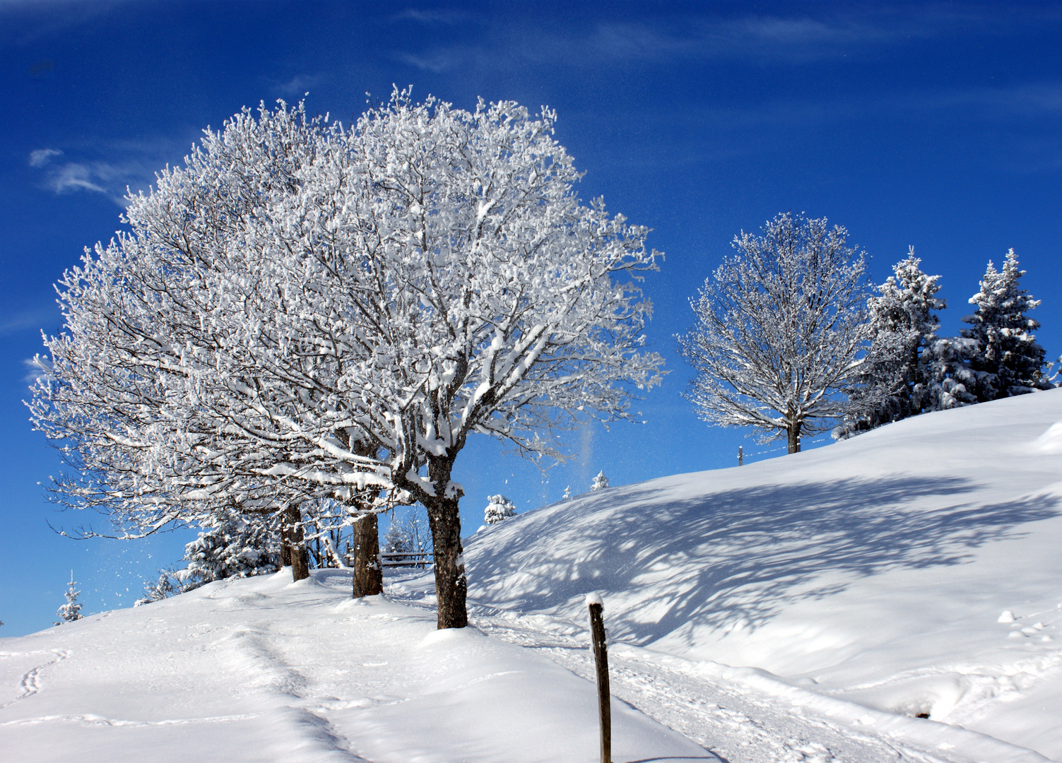 Winterlandschaft