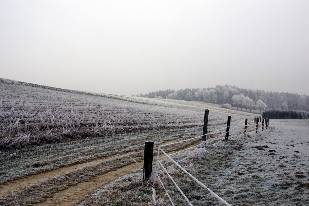 Winterlandschaft von Hanne W.