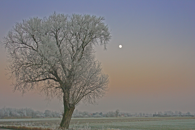 Winterlandschaft