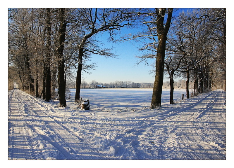 Winterlandschaft