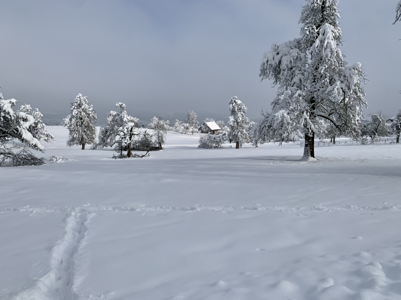 Winterlandschaft