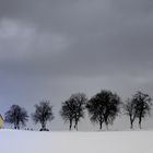 Winterlandschaft