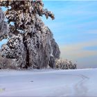 Winterlandschaft