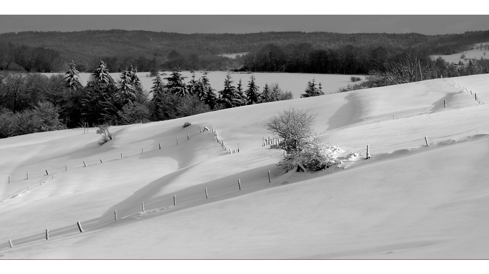 Winterlandschaft