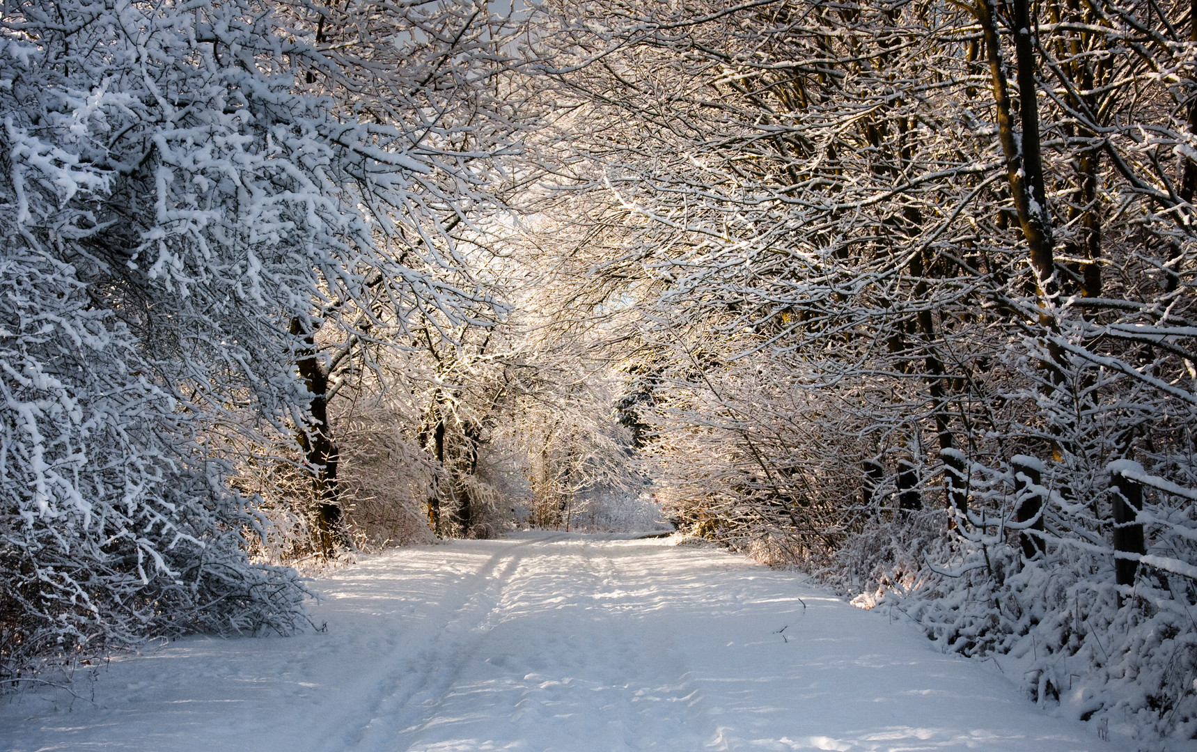 winterlandschaft