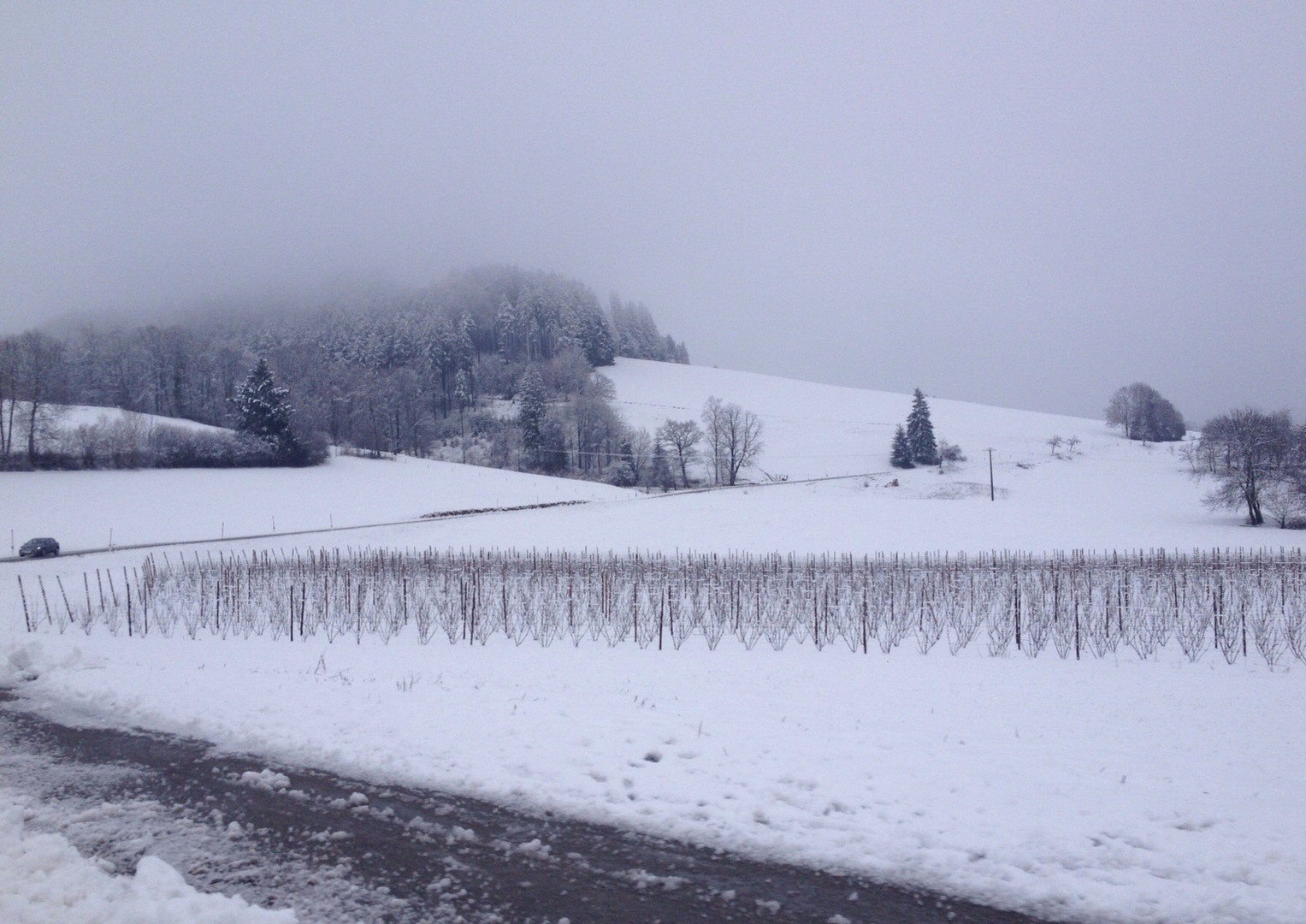 Winterlandschaft