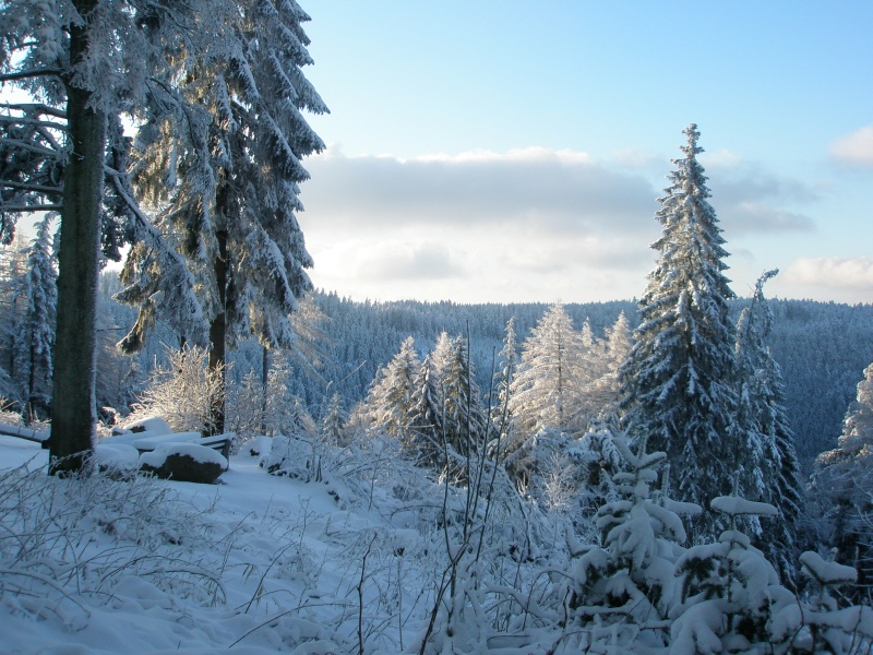 Winterlandschaft bei Bad Herrenalb