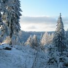 Winterlandschaft bei Bad Herrenalb