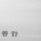 Winterlandschaft bei Esbeck