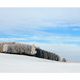 Winterlandschaft bei Furth im Wald