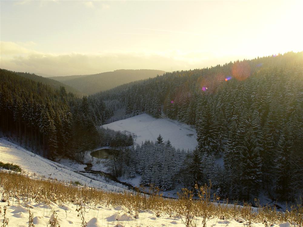 Winterlandschaft bei Großbreitenbach