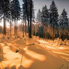 Winterlandschaft bei Hammerbrücke