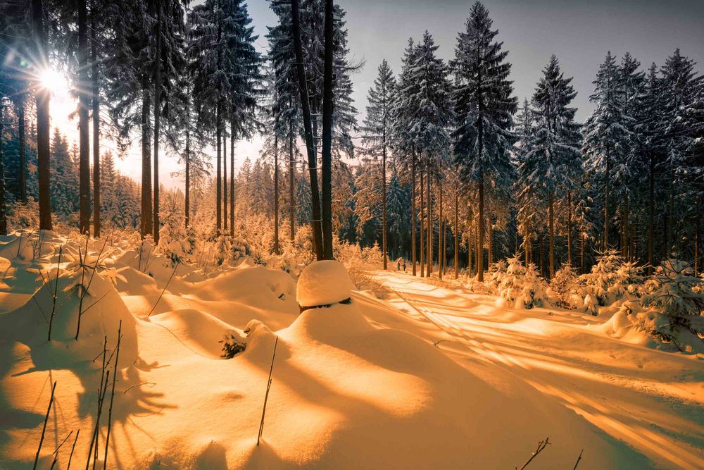 Winterlandschaft bei Hammerbrücke