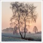 Winterlandschaft bei Herrnburg