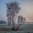 Winterlandschaft bei Herrnburg II