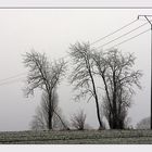 Winterlandschaft bei Korbach