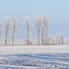 Winterlandschaft bei Linumhorst (Brandenburg)