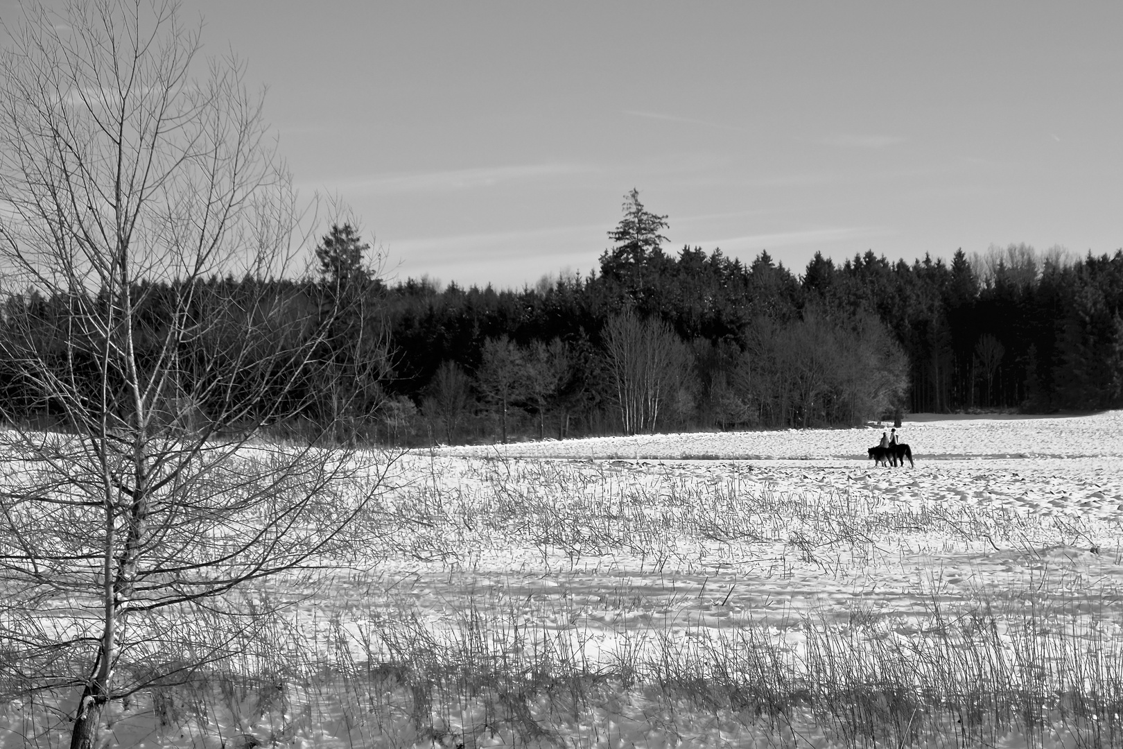 Winterlandschaft bei Mering