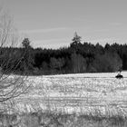 Winterlandschaft bei Mering