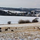 Winterlandschaft bei Mühlberg in Thüringen