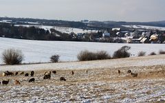 Winterlandschaft bei Mühlberg in Thüringen