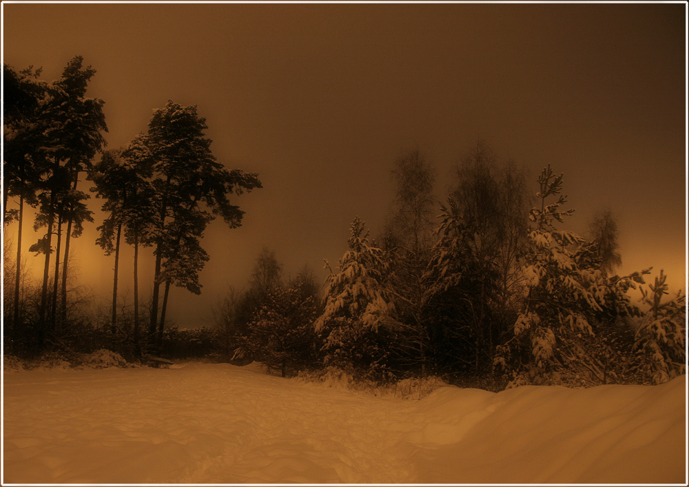 Winterlandschaft bei Nacht