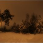 Winterlandschaft bei Nacht