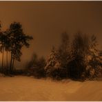 Winterlandschaft bei Nacht