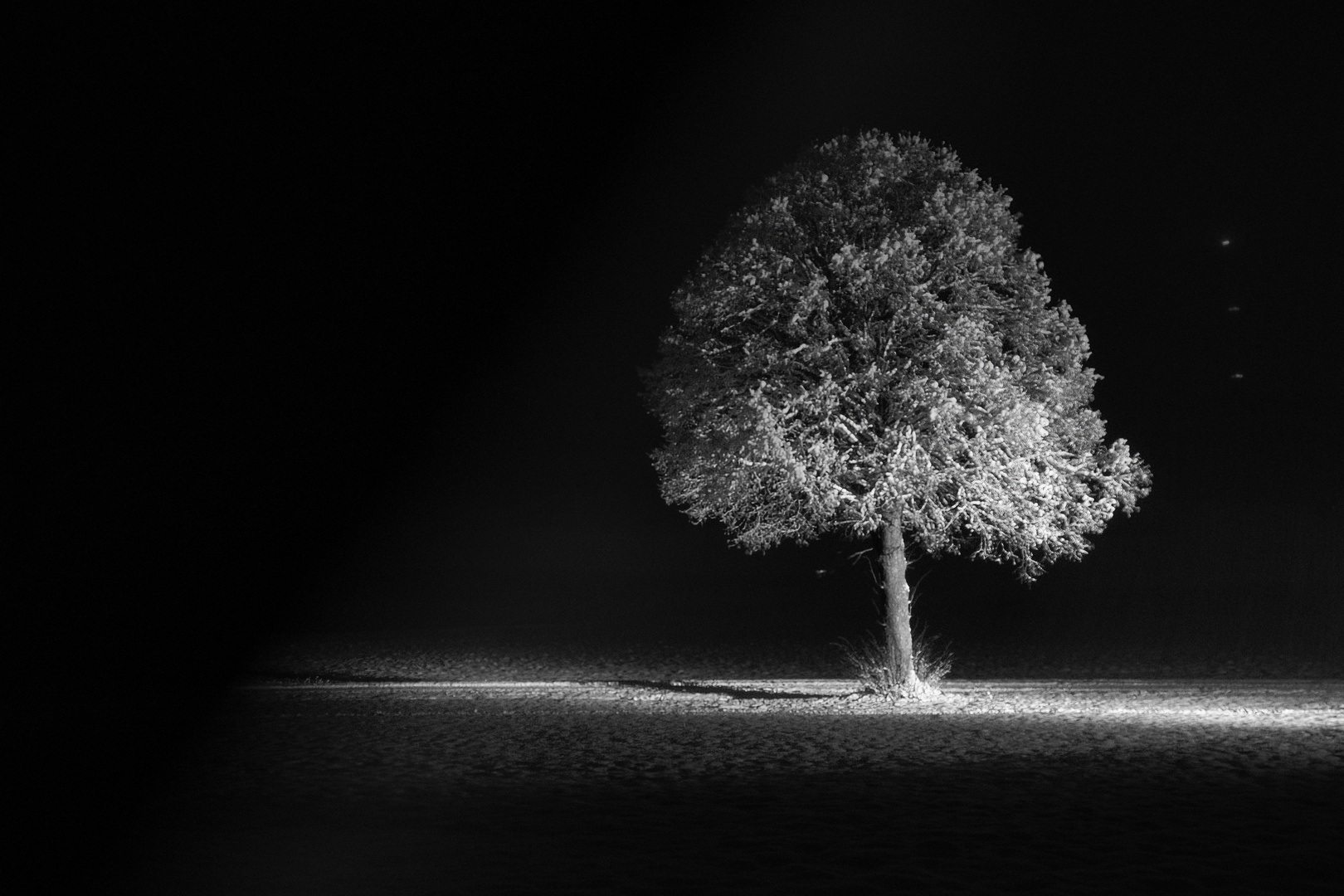 Winterlandschaft bei Nacht