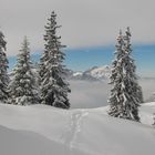 Winterlandschaft bei Niederrickenbach