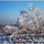 Winterlandschaft bei Nordhausen am Harz