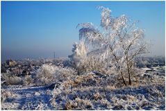 Winterlandschaft bei Nordhausen am Harz