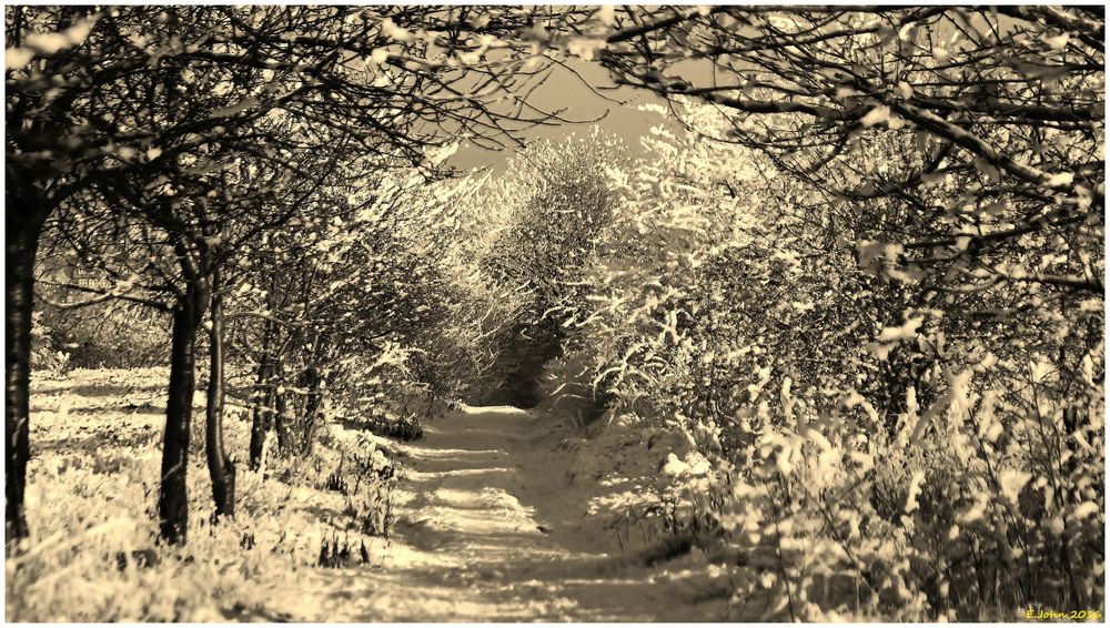 Winterlandschaft bei Nordhausen am Harz