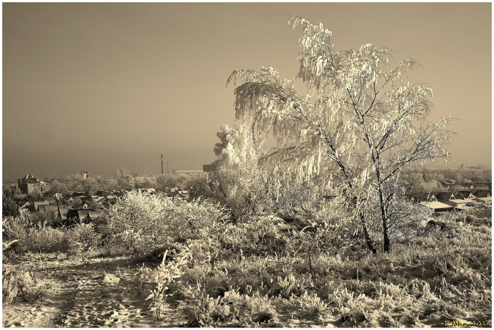 Winterlandschaft bei Nordhausen am Harz in Monochrom