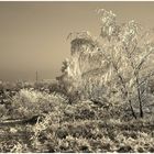 Winterlandschaft bei Nordhausen am Harz in Monochrom