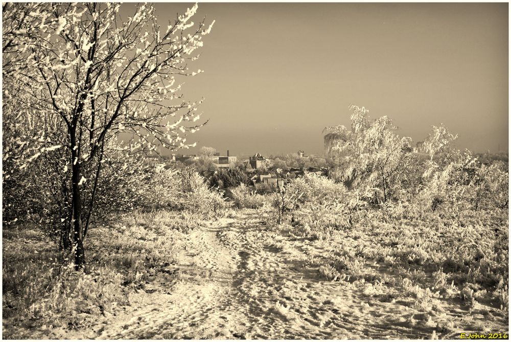 Winterlandschaft bei Nordhausen am Harz in Monochrom