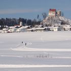 Winterlandschaft bei Ort und Burg/Schloss Waldburg