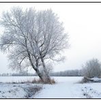 Winterlandschaft bei Otterndorf