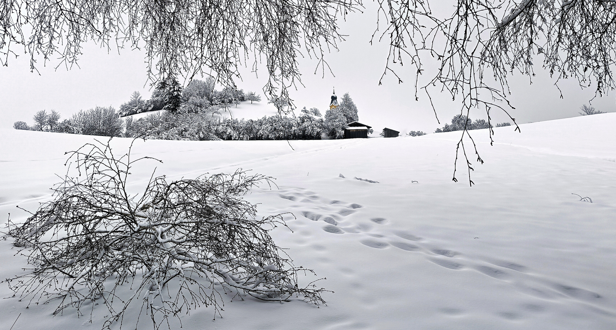 Winterlandschaft bei Pfronten 2