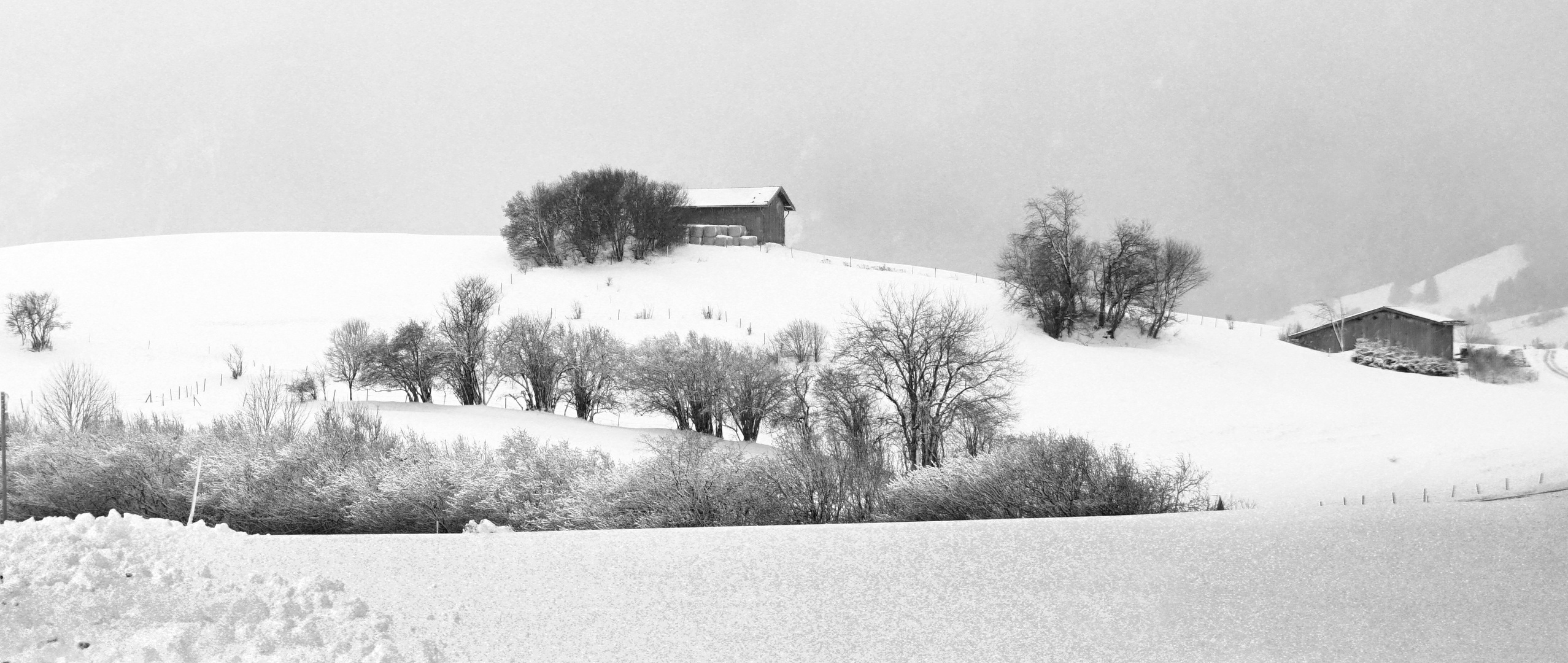 Winterlandschaft bei Pfronten