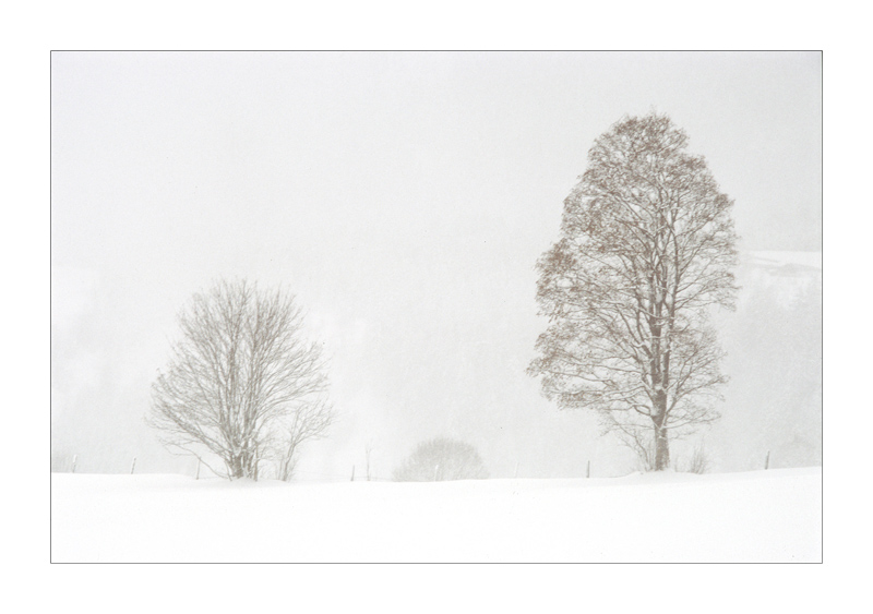 Winterlandschaft bei Schneefall