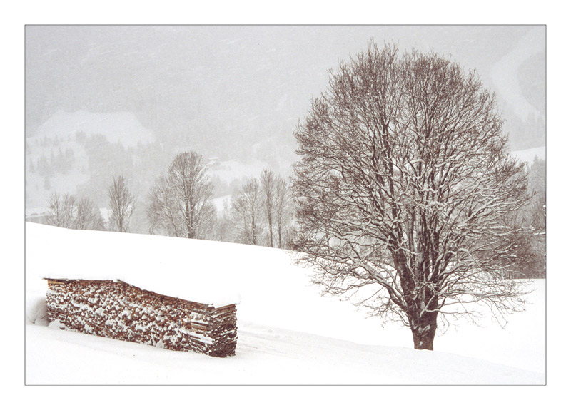 Winterlandschaft bei Schneefall II