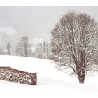 Winterlandschaft bei Schneefall II