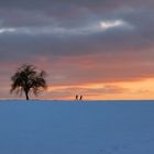 Winterlandschaft bei Sonnenuntergang