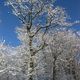 Winterlandschaft bei strahlend blauem Himmel