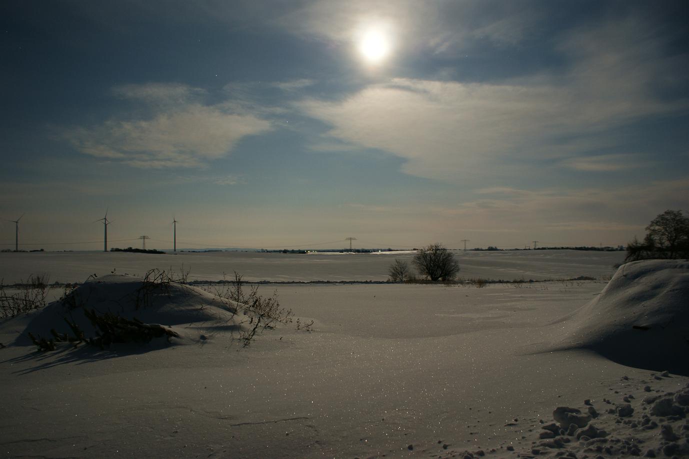 Winterlandschaft bei Vollmond