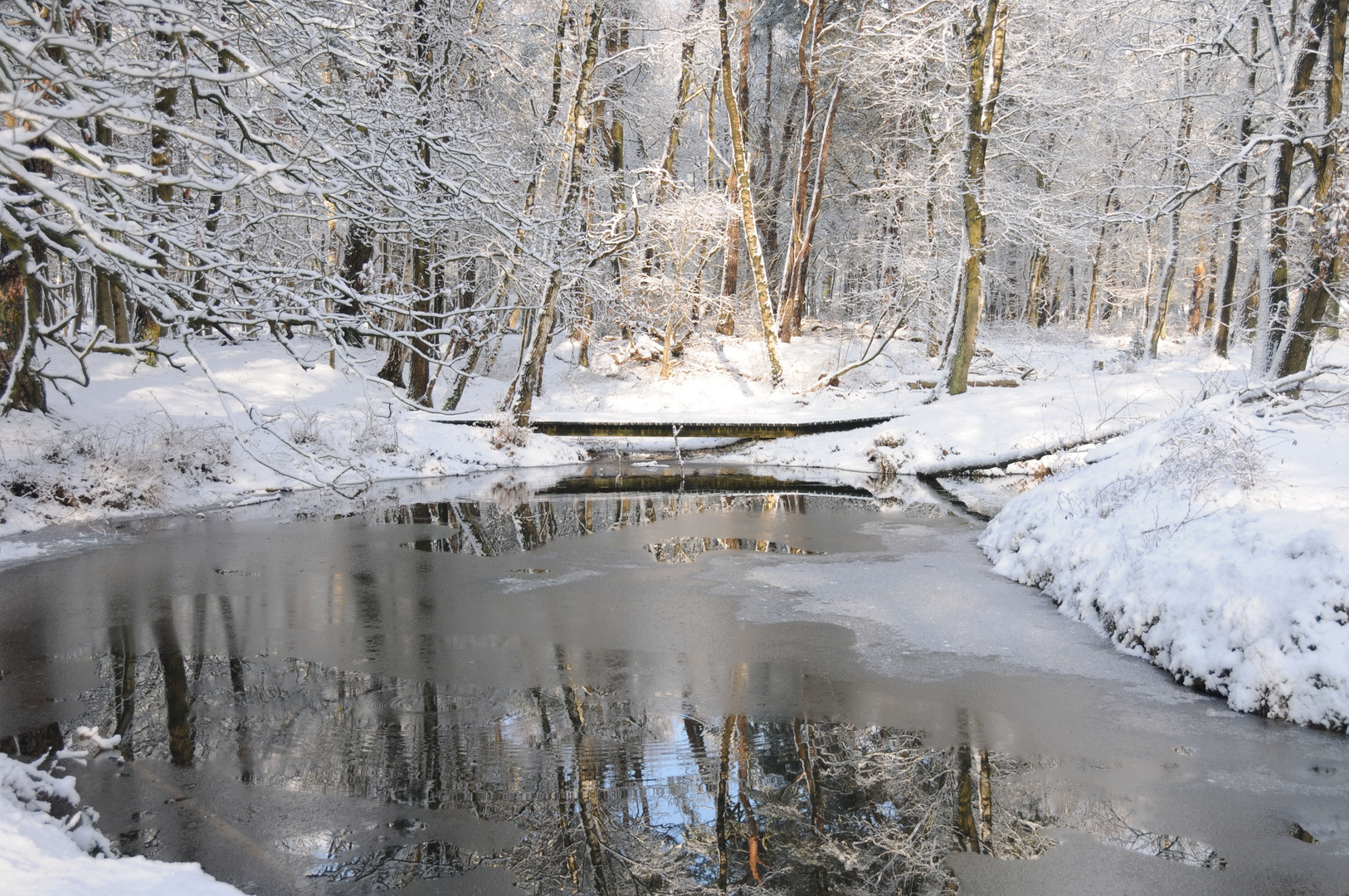 Winterlandschaft bei Wolfheze (NL)