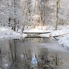 Winterlandschaft bei Wolfheze (NL)