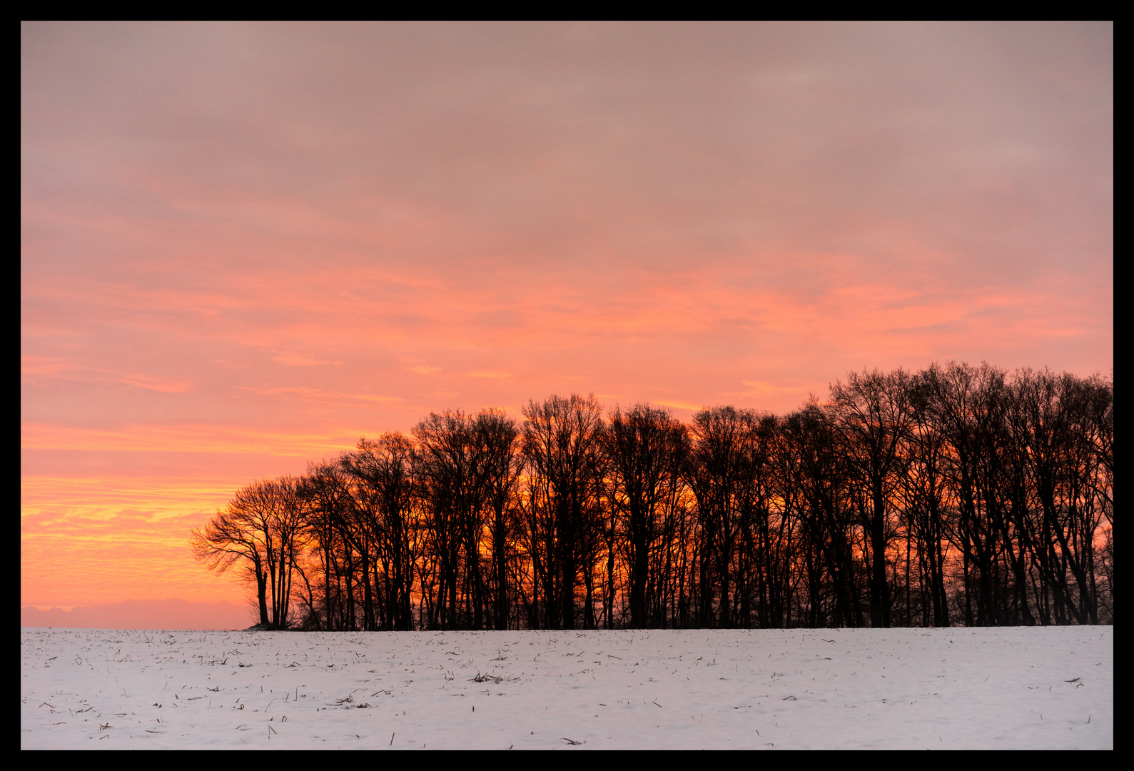 Winterlandschaft bei Xanten 2